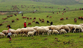 中央財(cái)政畜牧業(yè)提升項(xiàng)目檢查組高度評價(jià)寧波科瑞特畜牧養(yǎng)殖場項(xiàng)目